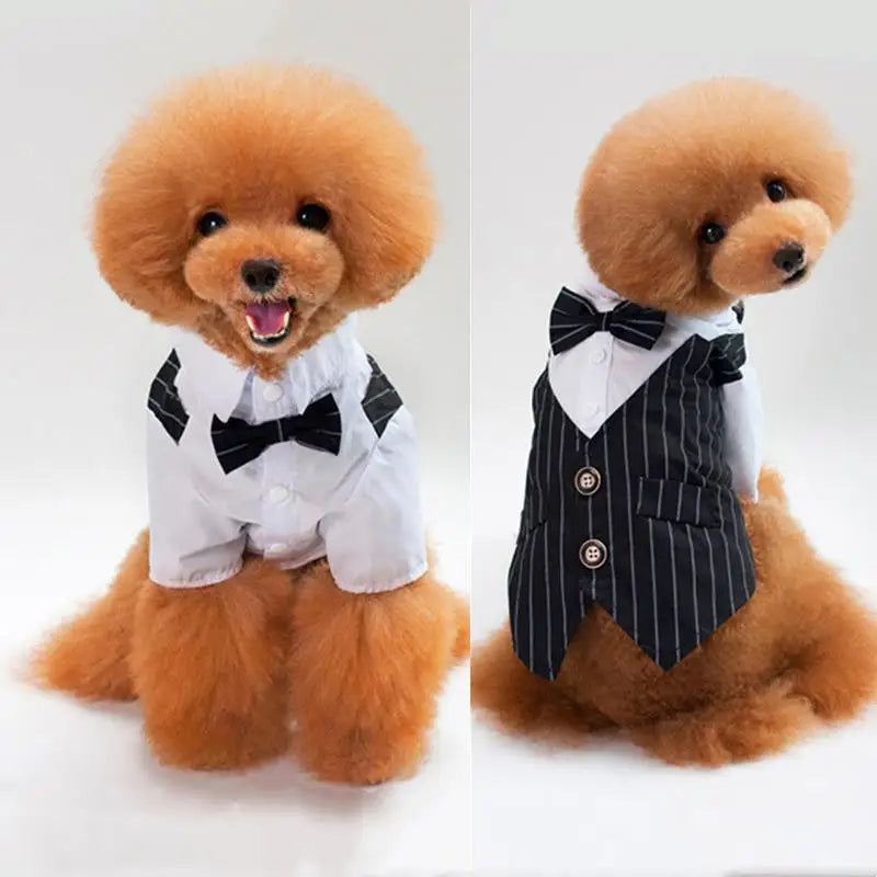 Pet Tuxedo Suit: Bow Tie Coat for Dogs & Cats