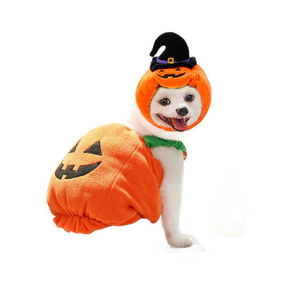 Pumpkin Halloween Cat Costume Set – Cute Hat & Scarf for Cats & Small Dogs