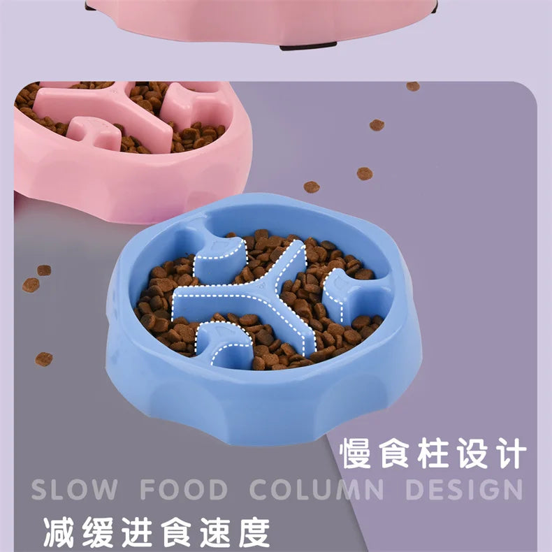 Colorful Slow Feeder Cat Bowl & Dog Puzzle Bowl