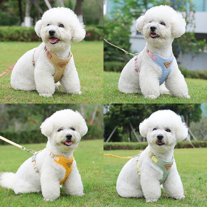 Adjustable Chest Strap Harness & Leash for Small Pets