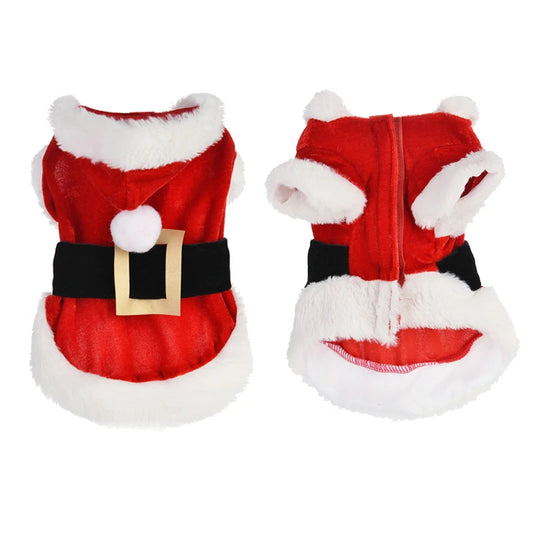 Santa Christmas Costume for Small Dogs & Cats