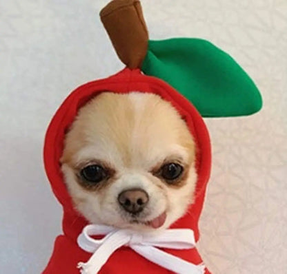 Fruit Hoodie - Halloween Cosplay Costume for Dogs & Cats