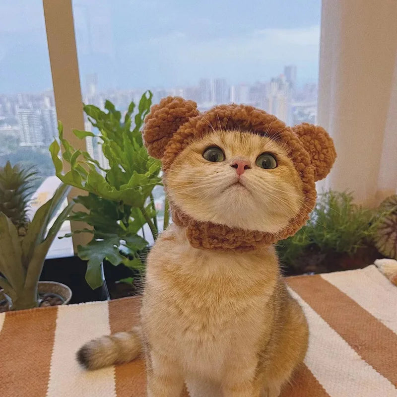 Cute Plush Bear Cat Cap - Warm Pet Headdress for Cosplay