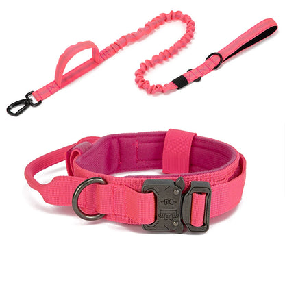 Durable Reflective Large Dog Collar & Leash Set