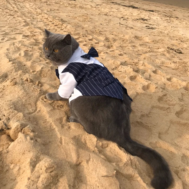 Handsome Cat Dog Party Suit Clothing