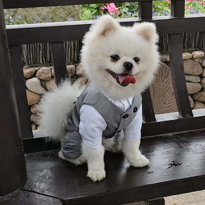 Dog Tuxedo Suit: Formal Wedding Outfit for Small Dogs