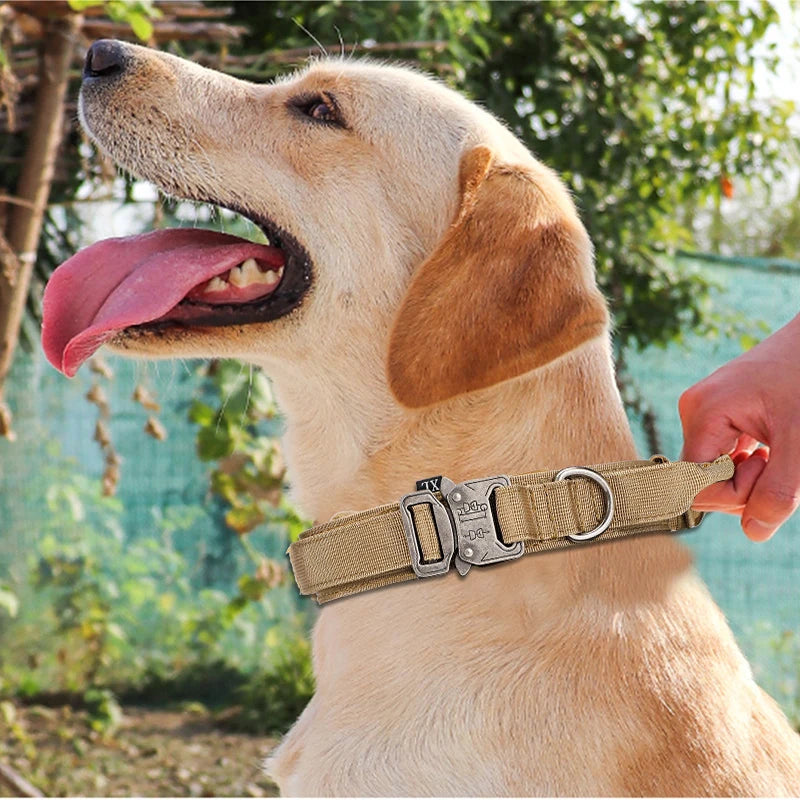 Durable Reflective Large Dog Collar & Leash Set