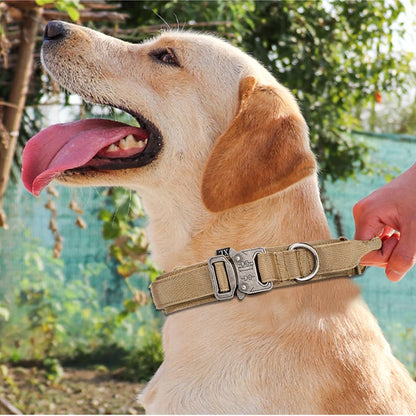 Durable Reflective Large Dog Collar & Leash Set