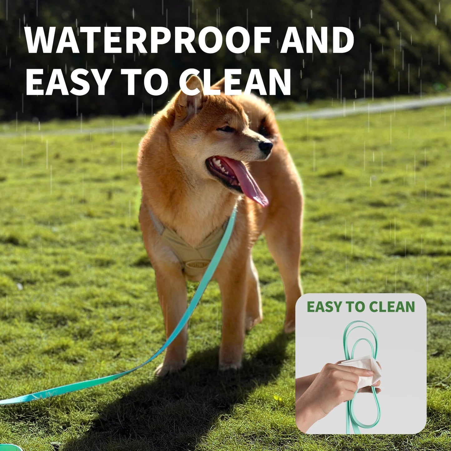 Versatile Waterproof Dog Training Leash