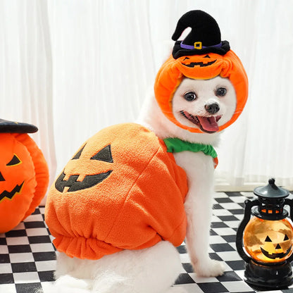 Pumpkin Halloween Cat Costume Set – Cute Hat & Scarf for Cats & Small Dogs