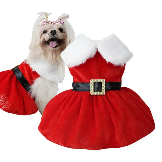 Christmas Dog Dress