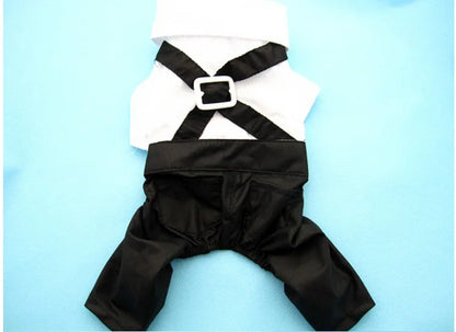 Pet Tuxedo Suit: Bow Tie Coat for Dogs & Cats