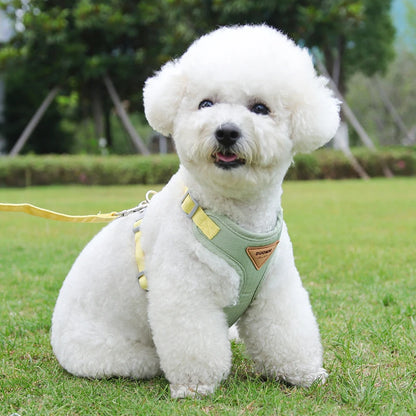 Adjustable Chest Strap Harness & Leash for Small Pets