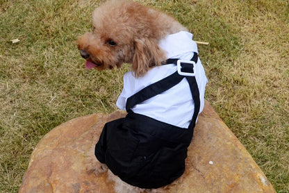 Pet Tuxedo Suit: Bow Tie Coat for Dogs & Cats