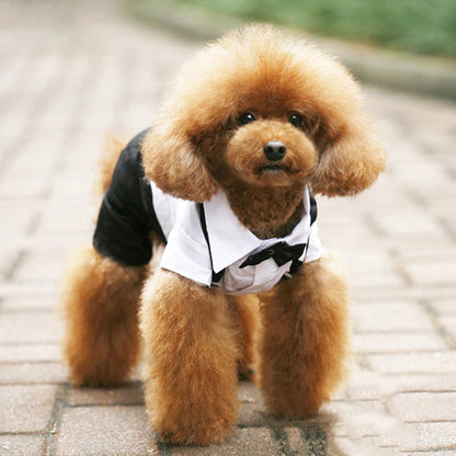 Pet Tuxedo Suit: Bow Tie Coat for Dogs & Cats