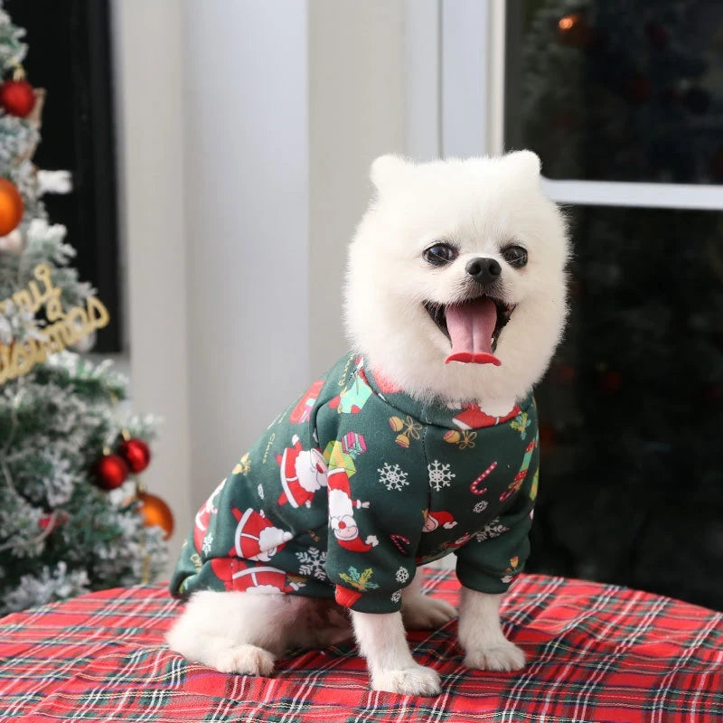 Cozy Christmas Sweatshirt for Dogs & Cats