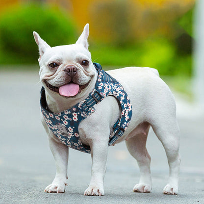 Floral Dog Harness