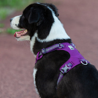 Lightweight Reflective Harness