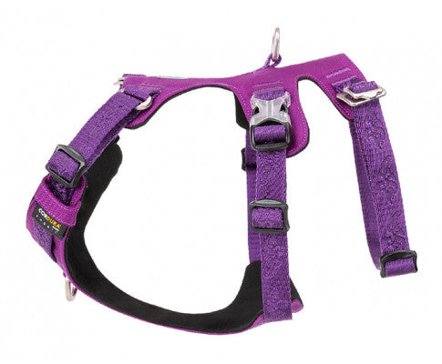 Whinhyepet Harness