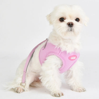 Macaroon Harness & Lead Set