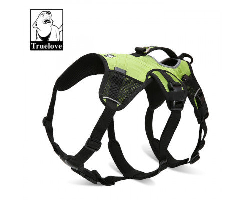 Backpack Harness