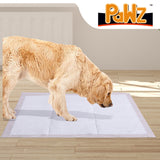 PaWz 50 Pcs 60x60 cm Pet Puppy Dog Toilet Training Pads Absorbent Meadow Scent