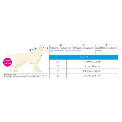 Max & Molly Smart ID Dog Collar - Strawberries