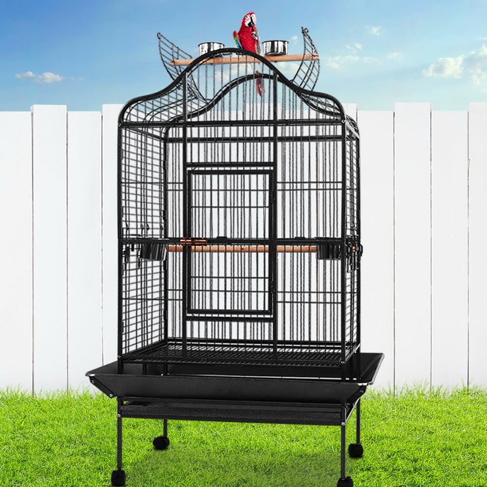 Bird Cage with Stand & Accessories