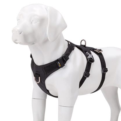 Whinhyepet Harness