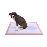 PaWz Pet Training Pads Puppy Dog Pads Absorbent Cushion Lavender Scent 200Pcs