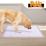PaWz Pet Training Pads Puppy Dog Pads Absorbent Cushion Lavender Scent 200Pcs