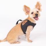 Olchi Recycled Suede Harness