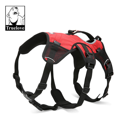 Backpack Harness