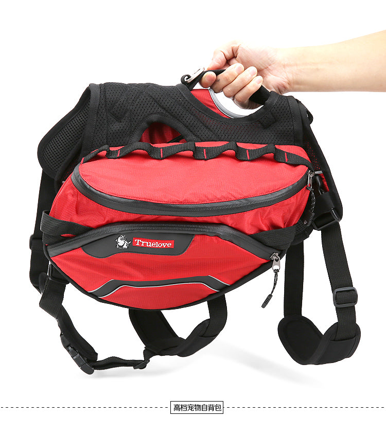 Backpack Harness